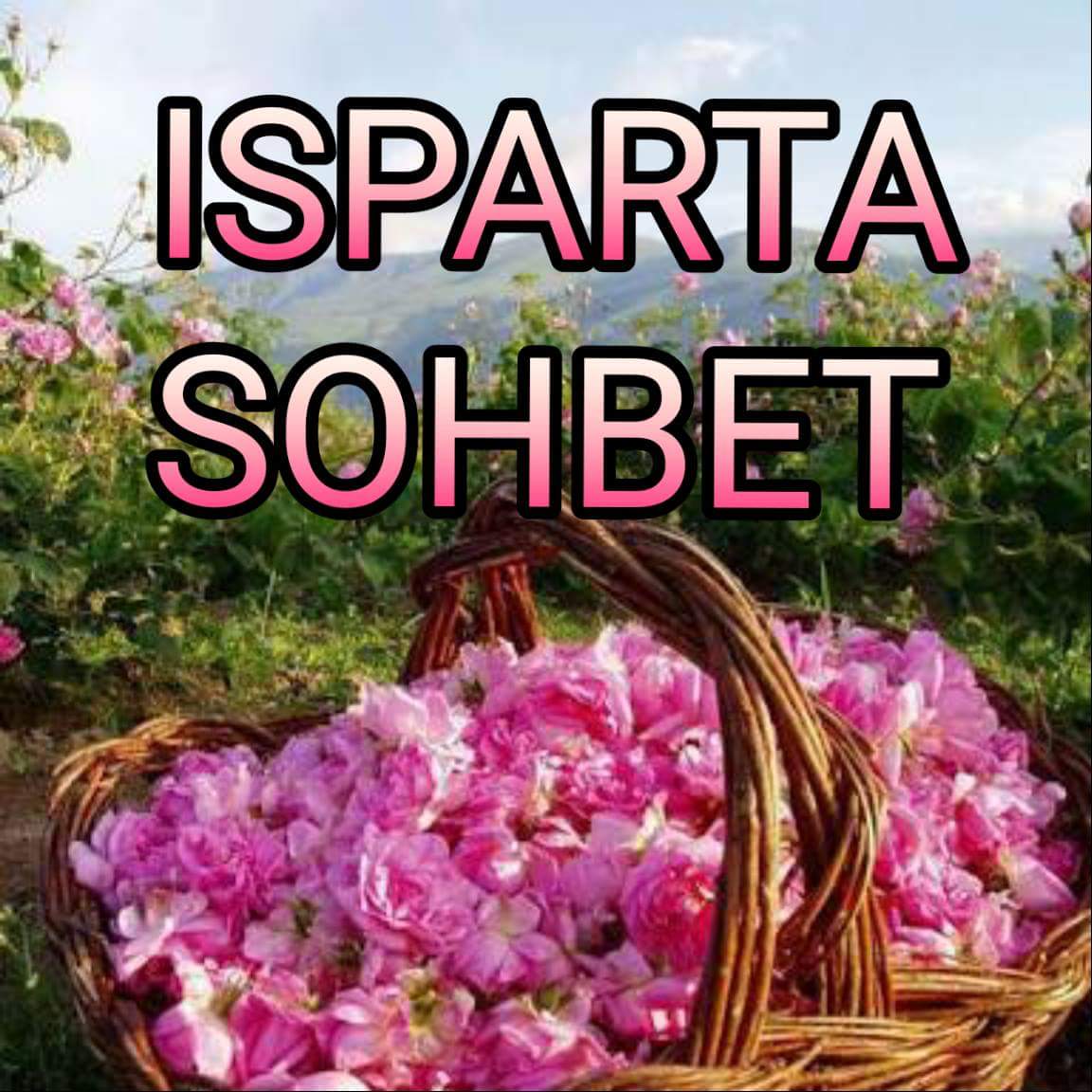 Isparta Sohbet Odaları Isparta Chat